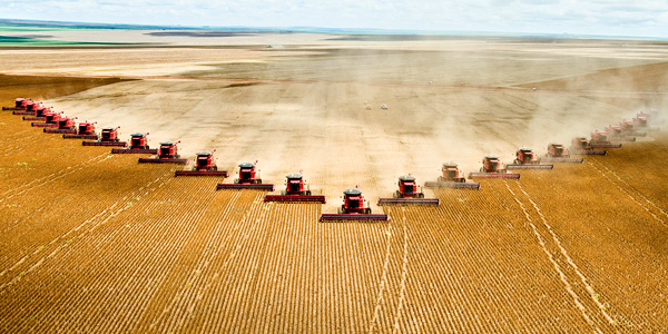 Industrial monoculture farming requires vast resources to produce food 